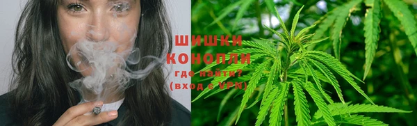 PSILOCYBIN Богородск