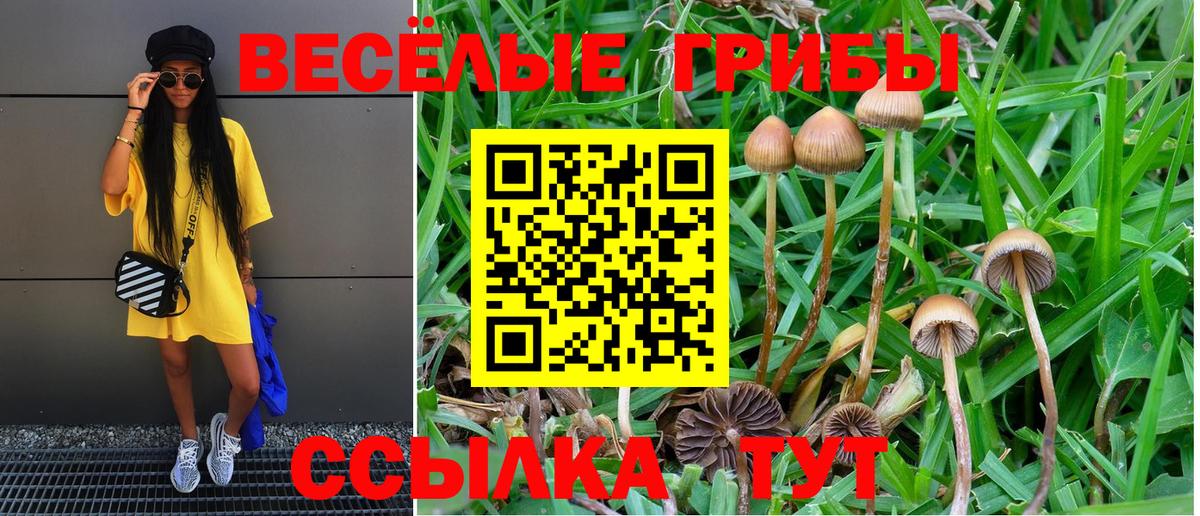 Псилоцибиновые грибы GOLDEN TEACHER  как найти закладки  Воронеж  Псилоцибиновые грибы Cubensis  Вход с VPN 